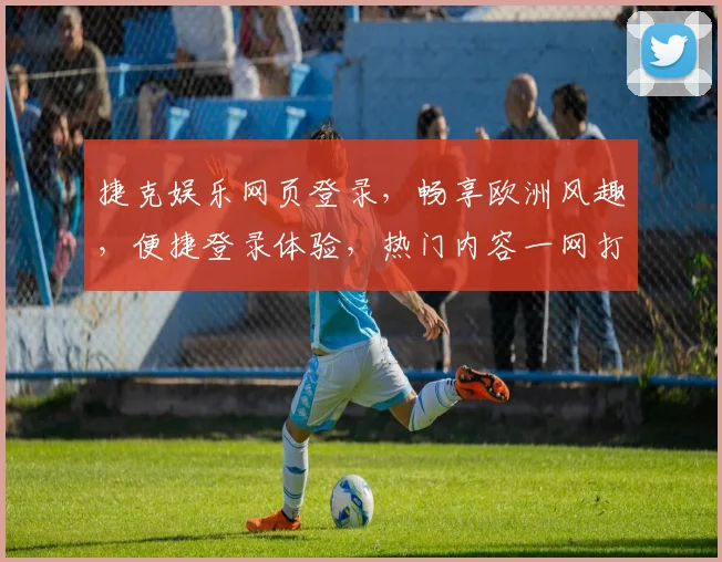 捷克娱乐网页登录，畅享欧洲风趣，便捷登录体验，热门内容一网打尽