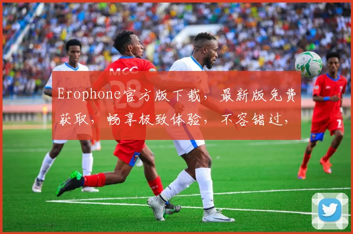 Erophone官方版下载，最新版免费获取，畅享极致体验，不容错过，速来下载